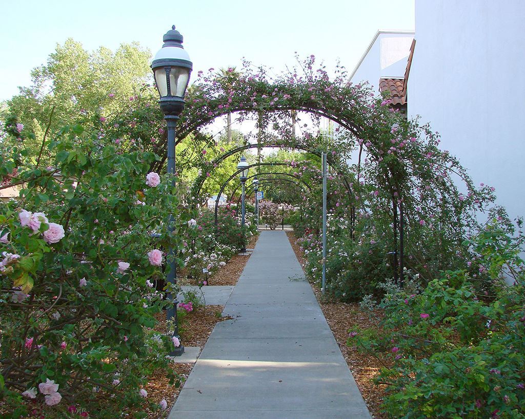 Price Amerson Historical Walk